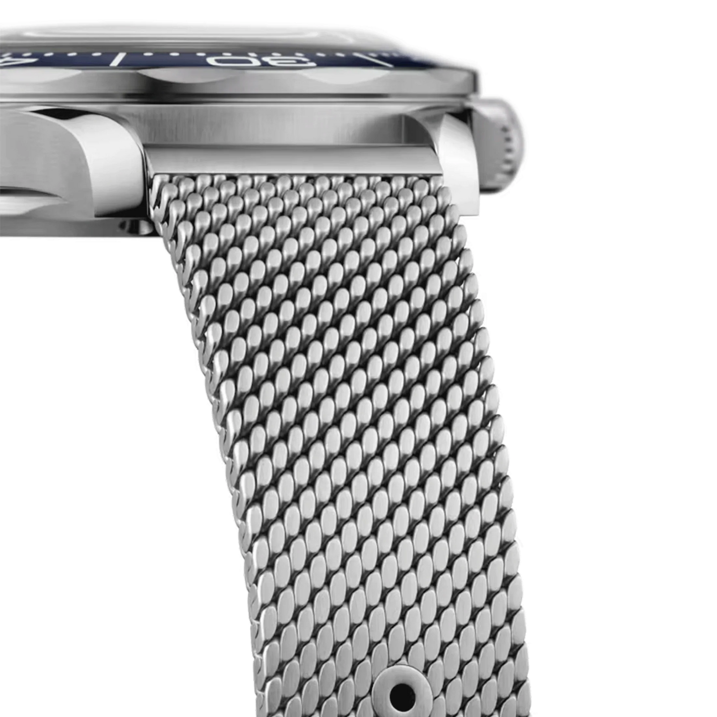 Omega Seamaster Diver
