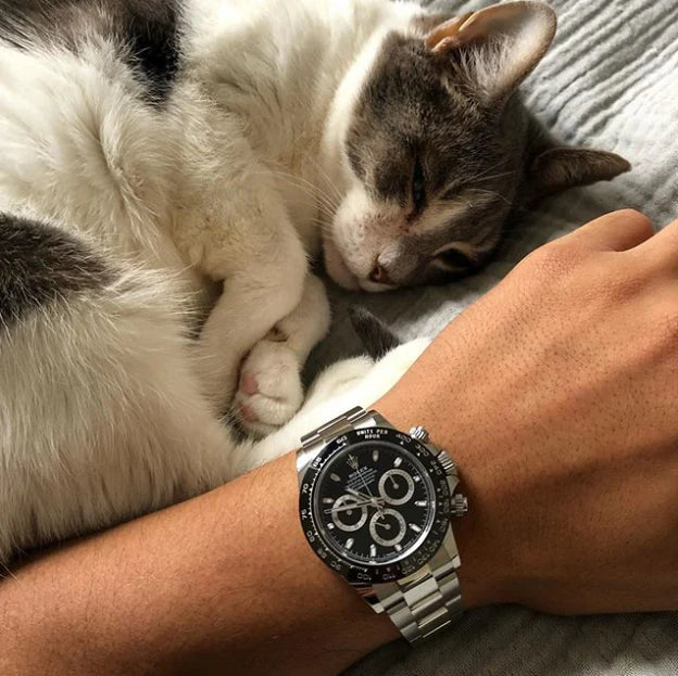 Rolex Daytona Cosmographe Fond Noir Montre Pour Homme