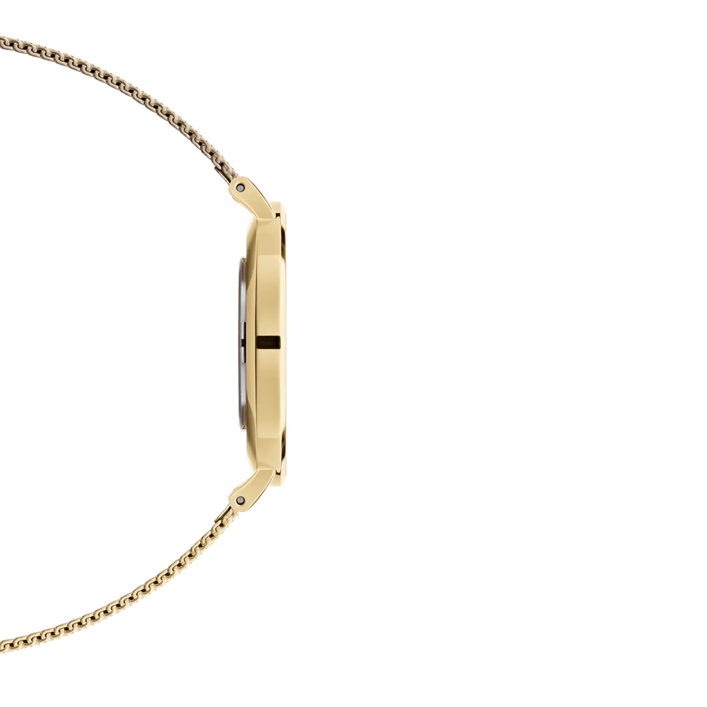 Montre Daniel Wellington PETITE EVERGOLD